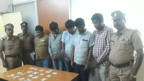 ஜிப் திருடர்கள்