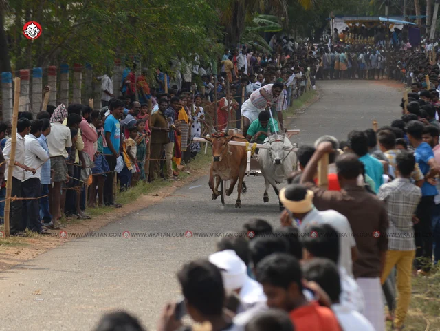ரேக்ளா பந்தயம்