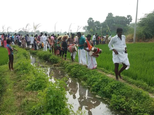 வயலில் மேளதாள ஊர்வலம்