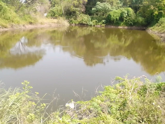 குளம்