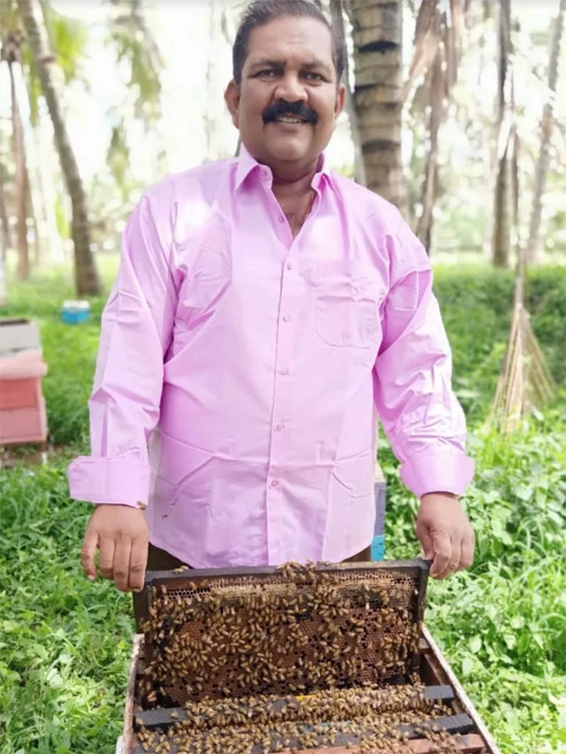 இத்தாலியத் தேனீக்களும் தமிழ்நாட்டின் அற்புதமான முருங்கைத் தேனும்!