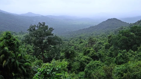 மேற்குத் தொடர்ச்சி மலை