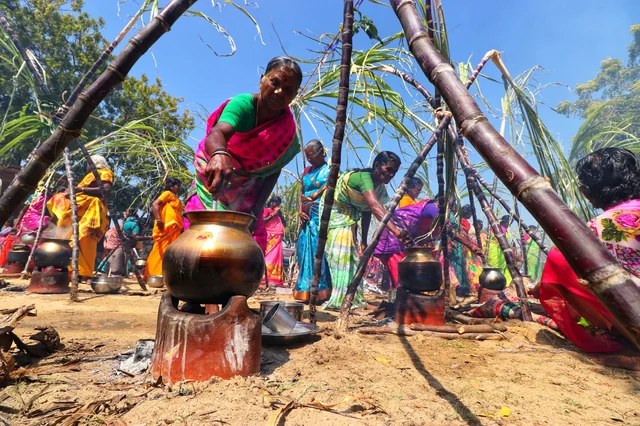 உழைக்கும் மக்கள் இயற்கை தெய்வமாக கருதும் சூரியனுக்கும் மற்ற உயிர்களுக்கும் நன்றி சொல்லும் விழா!