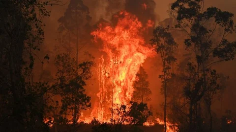 Australia Fores fire
