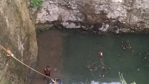 காளை மீட்கும் பணி