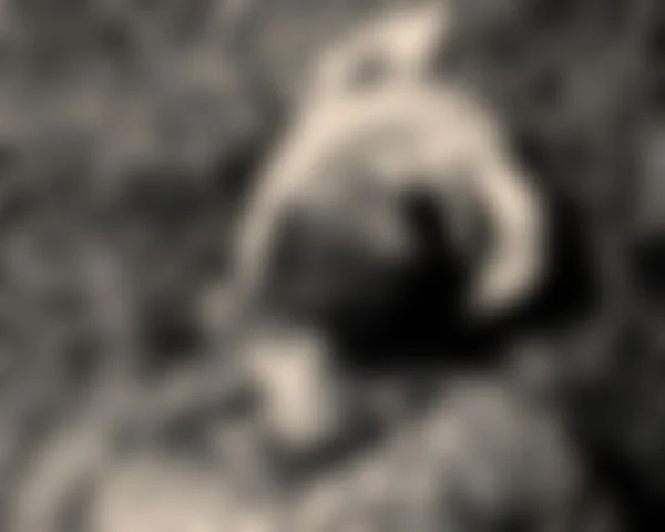 சடலமாக சுரேஷ்