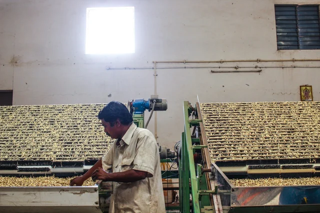 எந்திரம் மூலம் தீக்குச்சி தயாரிப்பு