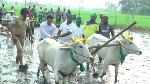 உழவு செய்யும் சப் - கலெக்டர்