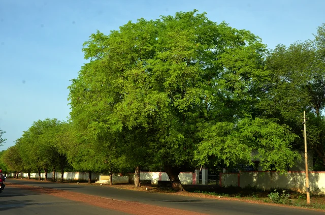 Representational Image