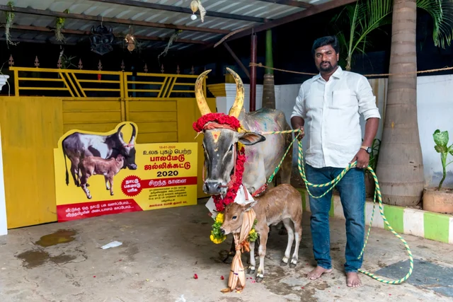 பொன்.குமார்