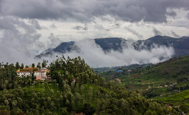 மேற்குத்தொடர்ச்சி மலை