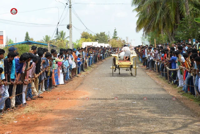 ரேக்ளா பந்தயம்