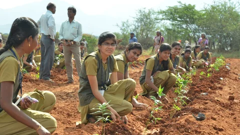 மூங்கில் கன்றுகள் நடும் தோட்டக்கலைக் கல்லூரி மாணவிகள்.