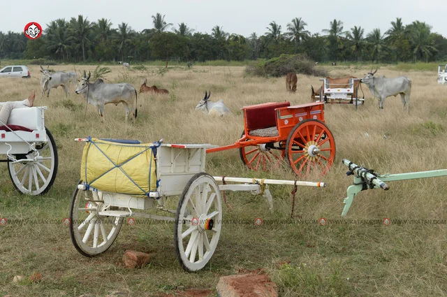 ரேக்ளா பந்தயம்