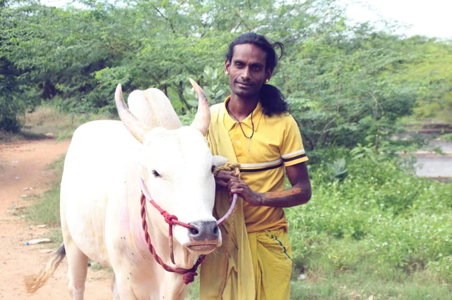 வினோத் என்ற சிந்தாமணி