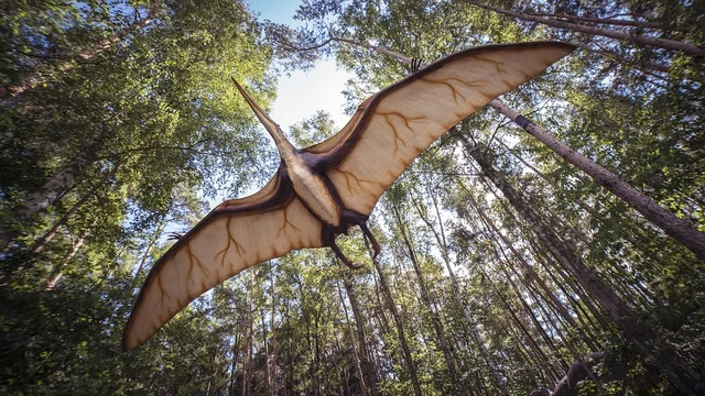 டெரோசார்(pterosaur)
