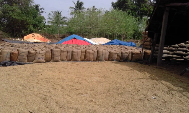 நெல் கொள்முதல் நிலையம்