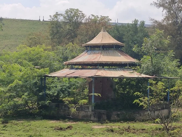 புதர் மண்டிக் கிடக்கும் பூங்கா