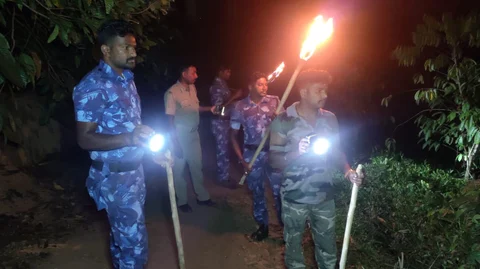 தீப்பந்தங்களுடன் வனத்துறையினர்.