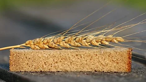 பிரெட்