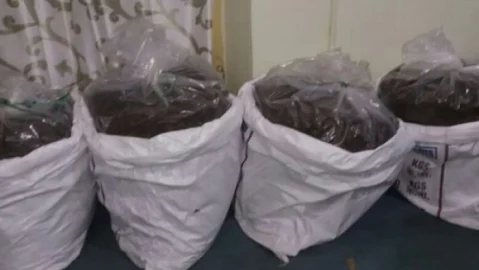 கஞ்சா