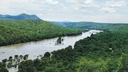 காவிரி
