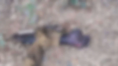 கை