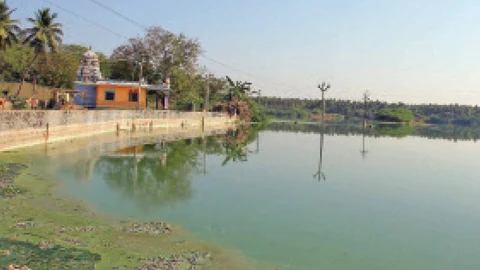 வீரபாண்டி ஏரி
