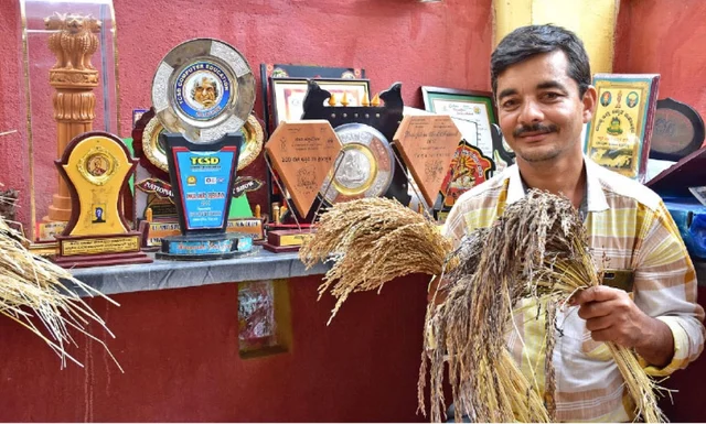 பாரம்பர்ய நெல் சாகுபடி: அதிக தண்ணீரைத் தேக்கினால் களைகள் கட்டுப்படுமா?