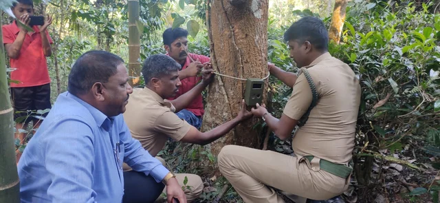 தானியங்கி கேமராக்களை பொருத்தி கண்காணிப்பு