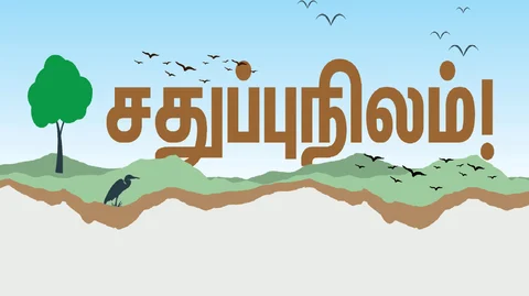 சதுப்புநிலம்