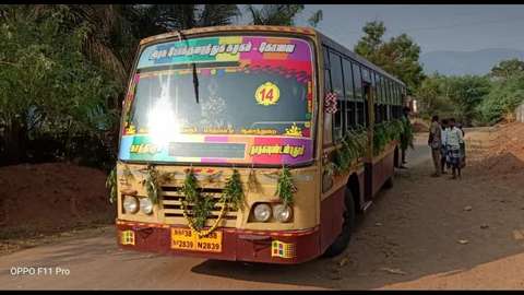 அரசுப் பேருந்து வேப்பிலை