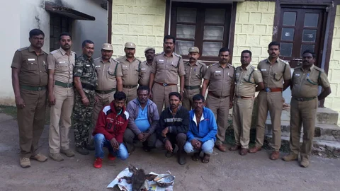 poachers& forest department
