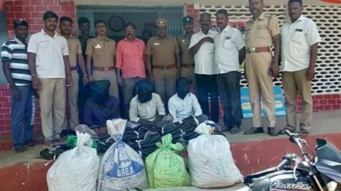 கைதான திருட்டுக் கும்பல்