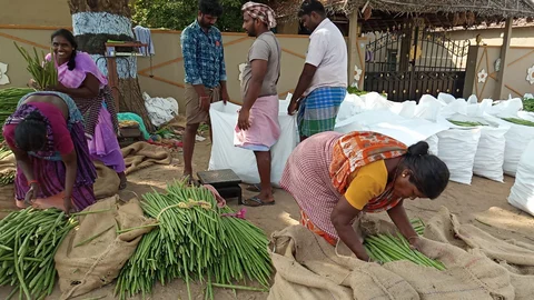 முருங்கையோடு விவசாயிகள்..