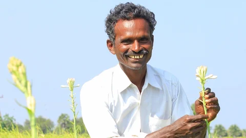 சம்பங்கி சாகுபடி