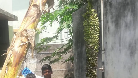 வாழைத் தார் அருகே மாணவர்கள்