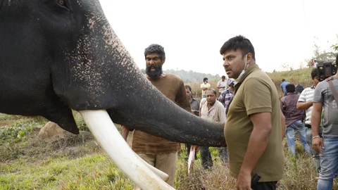 காடன்