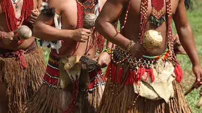 பழங்குடிகள்