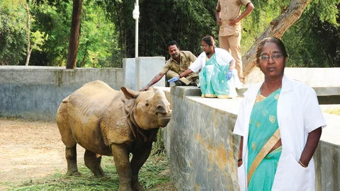 டாக்டர் நளினி