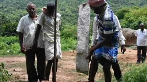 பசுமைச் சாலை