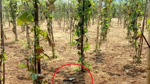 ராணுவ வெடிகுண்டு