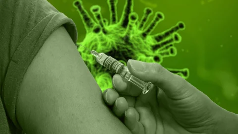 Corona Virus