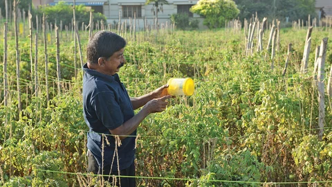 பாலசுப்பிரமணியன்