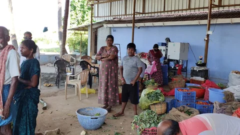 விவசாயிகள் காய்கறி
