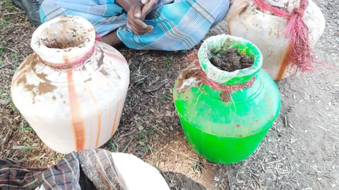 சாராய ஊறல்