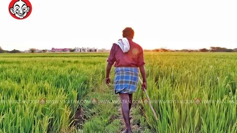 விவசாயம்