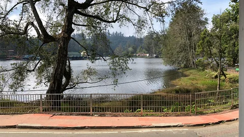 Kodai lake
