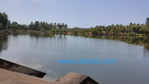 வெள்ளிச்சந்தை கண்ணமங்கலம் குளம்