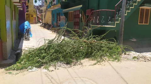 முள்களால் அடைக்கப்பட்டுள்ள தெரு